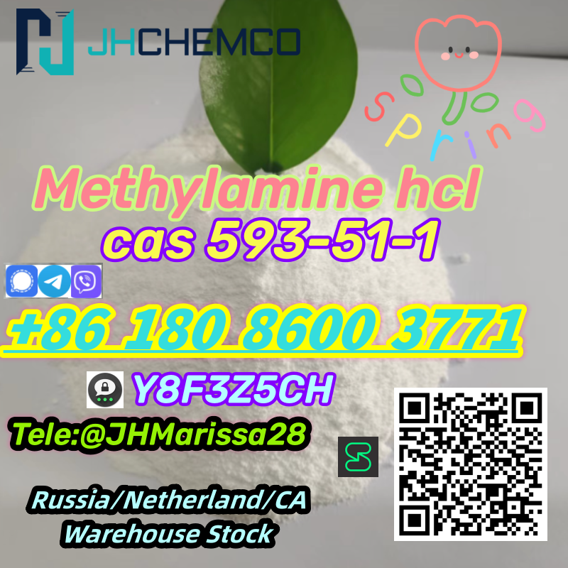 Methylamine hydrochloride CAS 593-51-1
