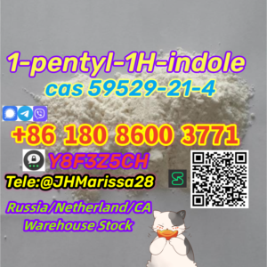 1-pentyl-1H-indole CAS 59529-21-4