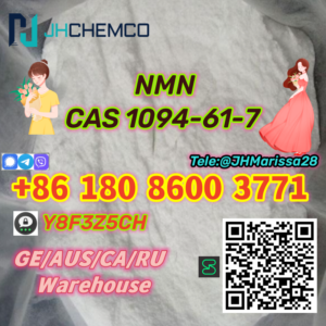 β-Nicotinamide Mononucleotide CAS 1094-61-7